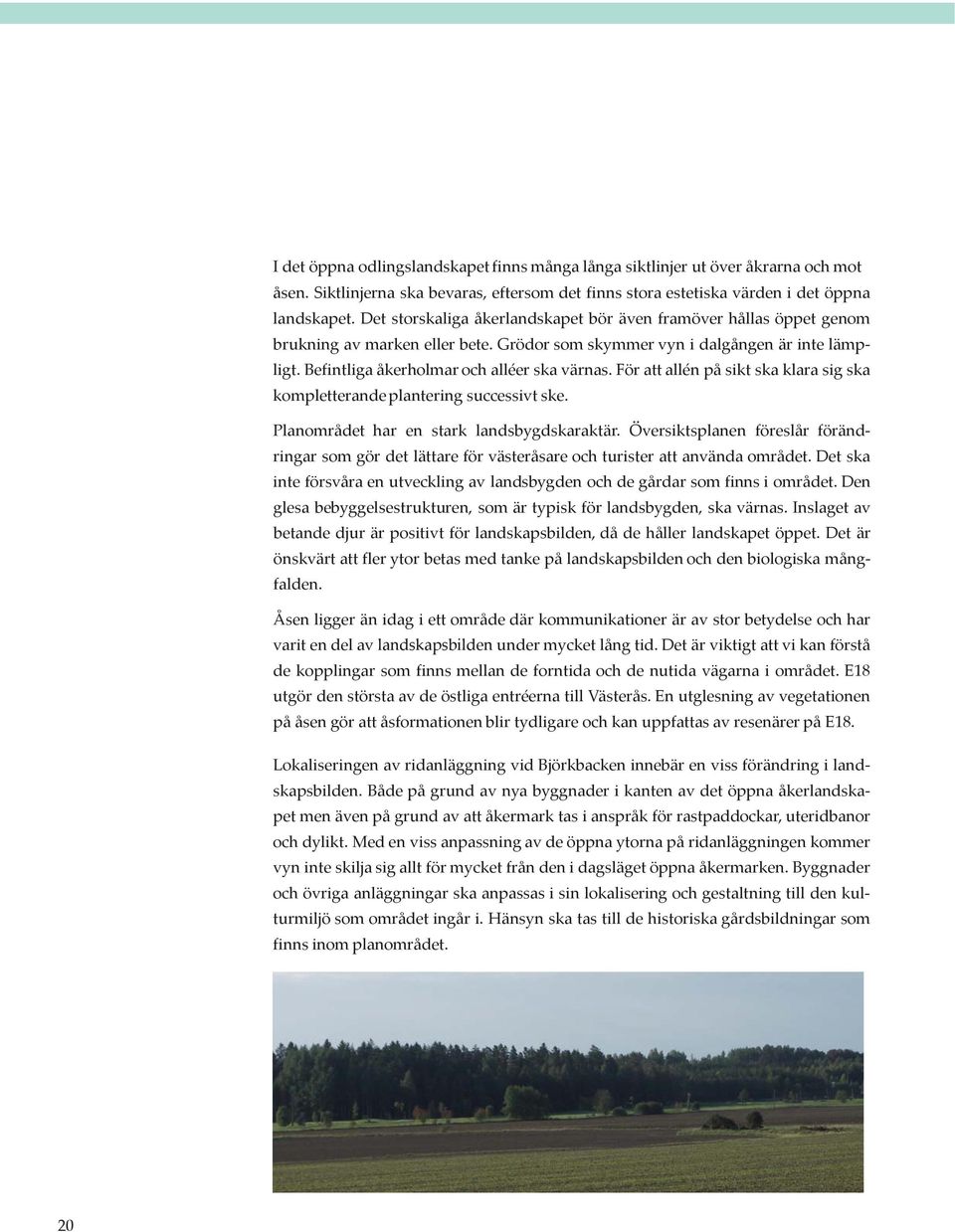 För att allén på sikt ska klara sig ska kompletterande plantering successivt ske. Planområdet har en stark landsbygdskaraktär.