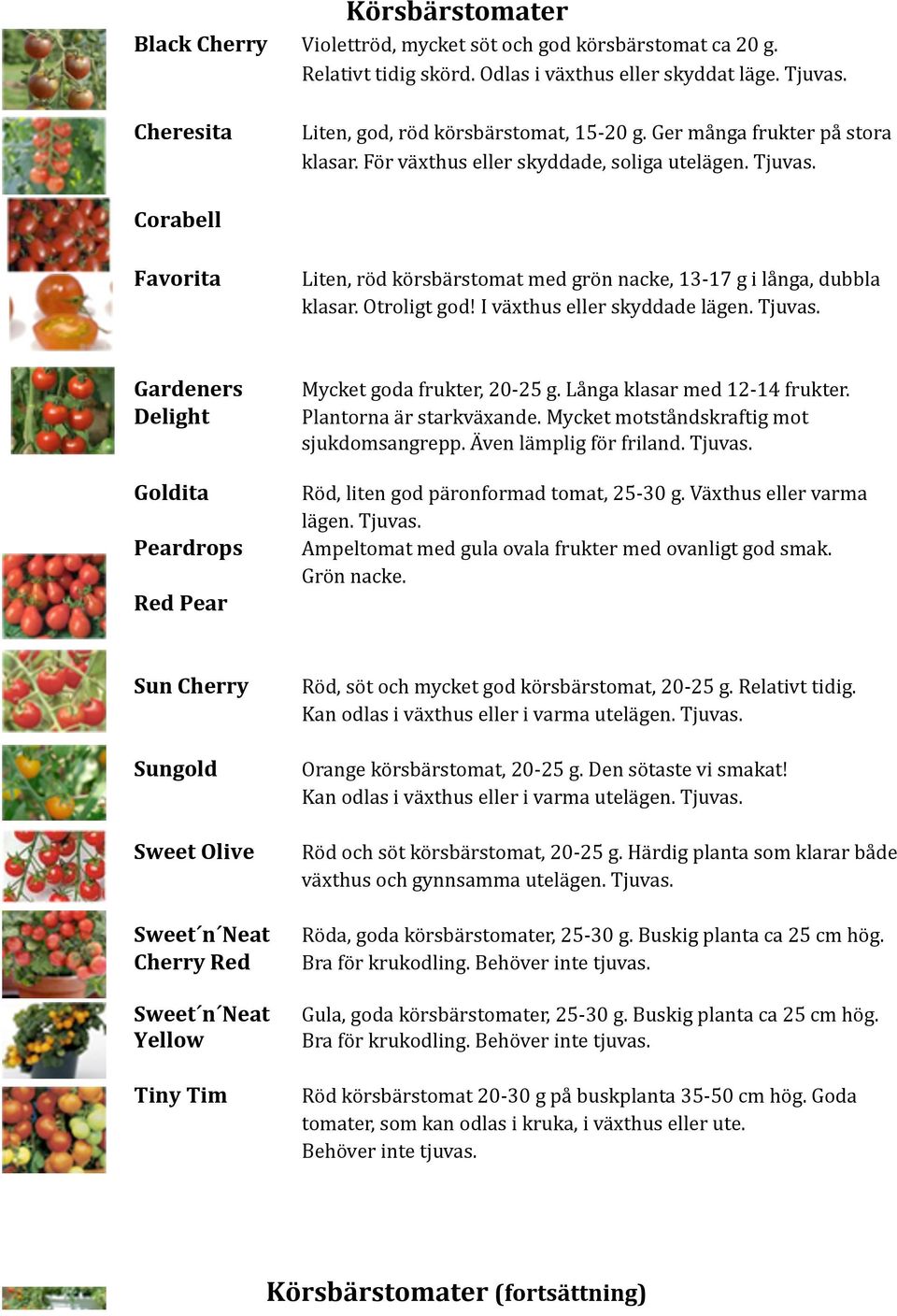 I växthus eller skyddade lägen. Tjuvas. Gardeners Delight Mycket goda frukter, 20 25 g. Långa klasar med 12 14 frukter. Plantorna är starkväxande. Mycket motståndskraftig mot sjukdomsangrepp.