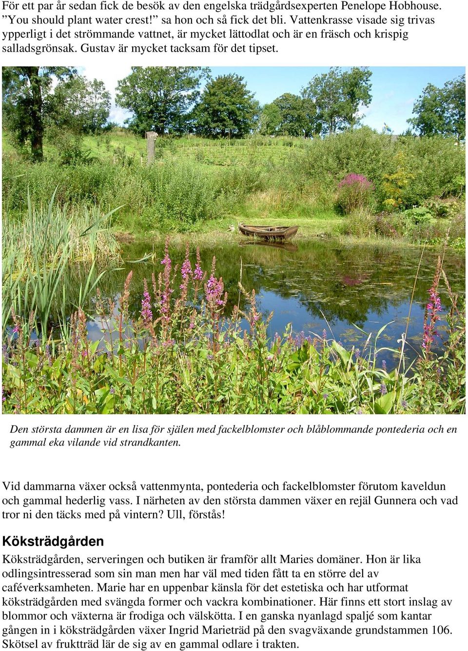 Den största dammen är en lisa för själen med fackelblomster och blåblommande pontederia och en gammal eka vilande vid strandkanten.