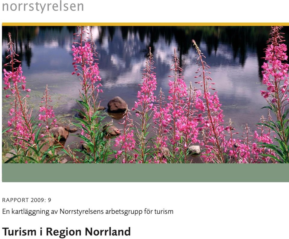 arbetsgrupp för turism Turism i Region