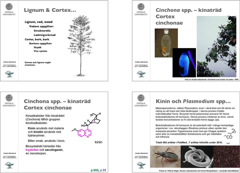 Malariaparasiterna, släktet Plasmodium, lever i vårat blod och får delvis sin näring av att bryta ned röda blodkroppar. I denna process frisätts svårnedbrytbar heme.