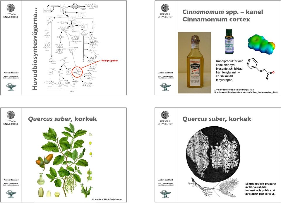 fenylpropan....rymdfyllande bild med laddningar från: http://www.molecular-networks.
