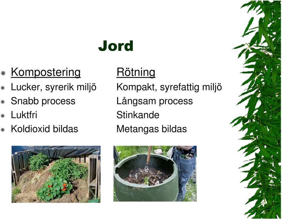 bildas Rötning Kompakt, syrefattig