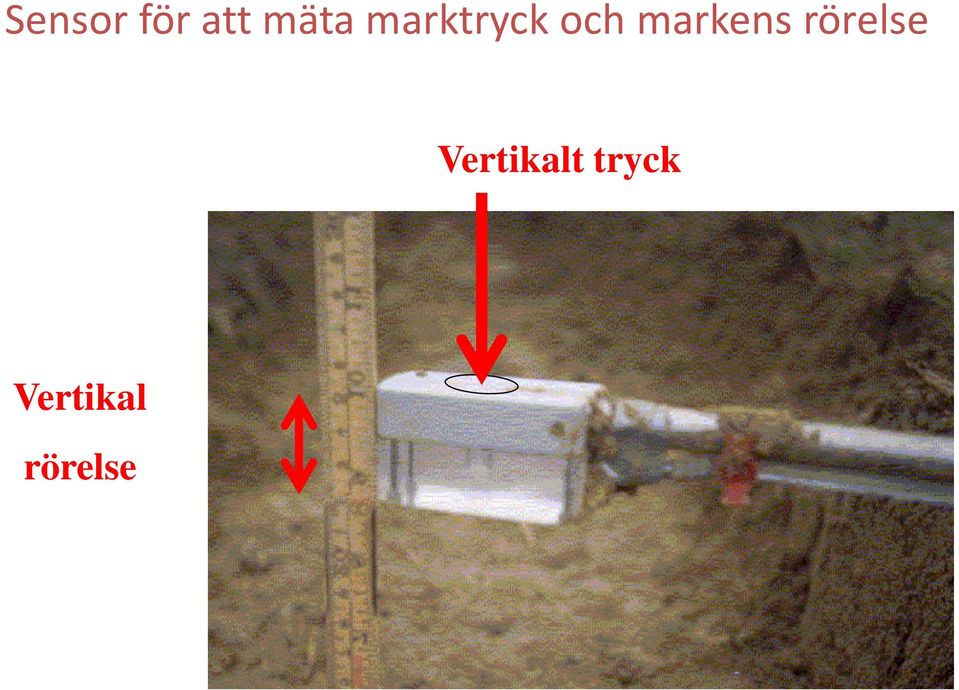 markens rörelse