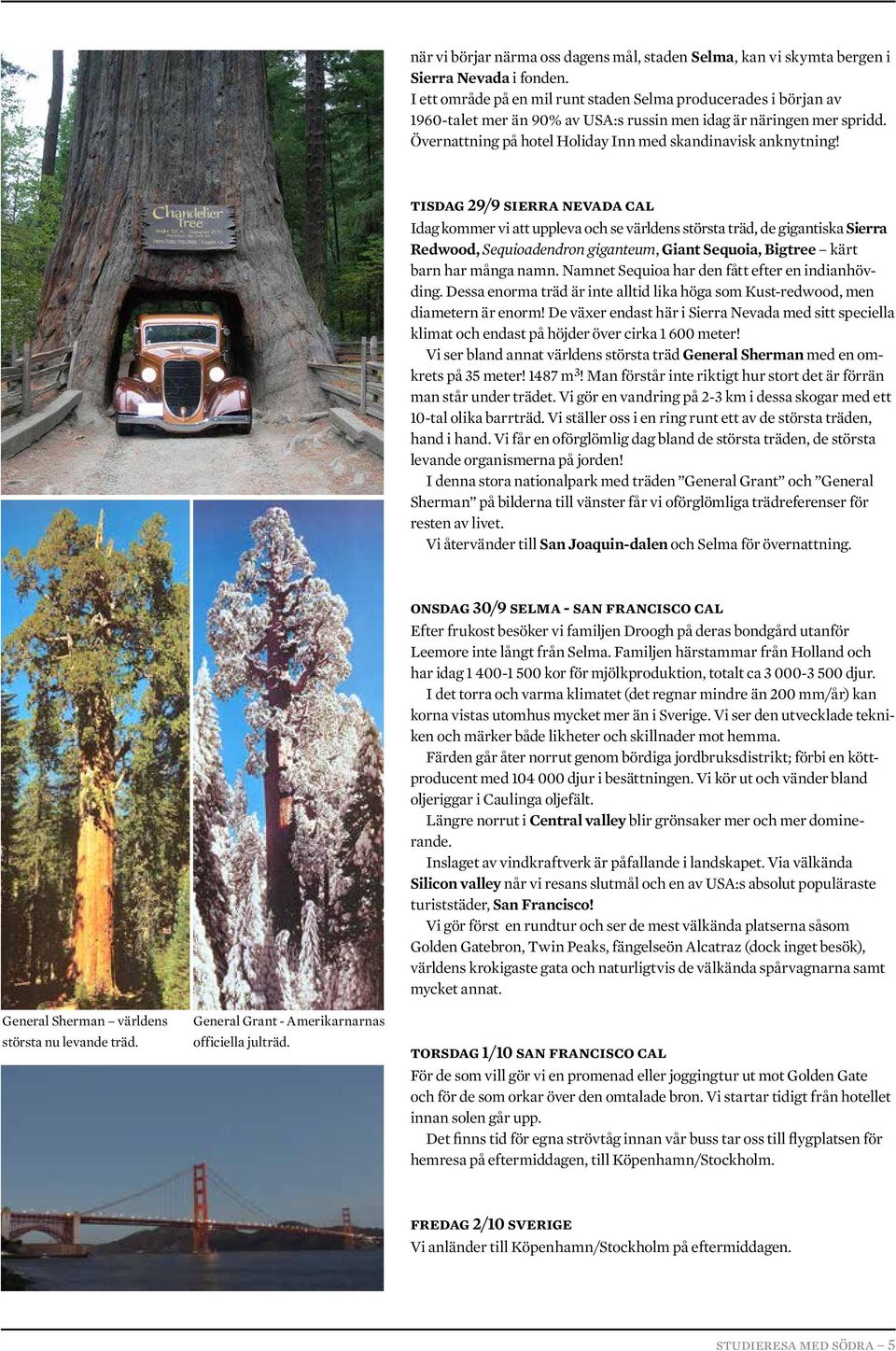 tisdag 29/9 sierra nevada cal Idag kommer vi att uppleva och se världens största träd, de gigantiska Sierra Redwood, Sequioadendron giganteum, Giant Sequoia, Bigtree kärt barn har många namn.
