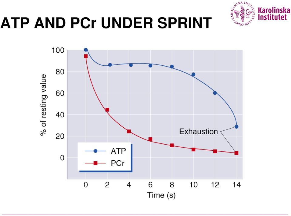 SPRINT