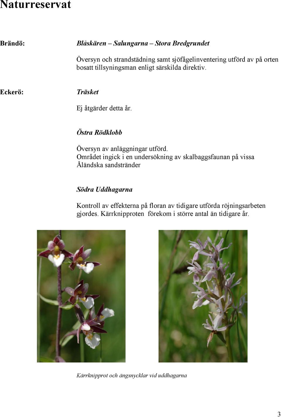 Området ingick i en undersökning av skalbaggsfaunan på vissa Åländska sandstränder Södra Uddhagarna Kontroll av effekterna på floran av