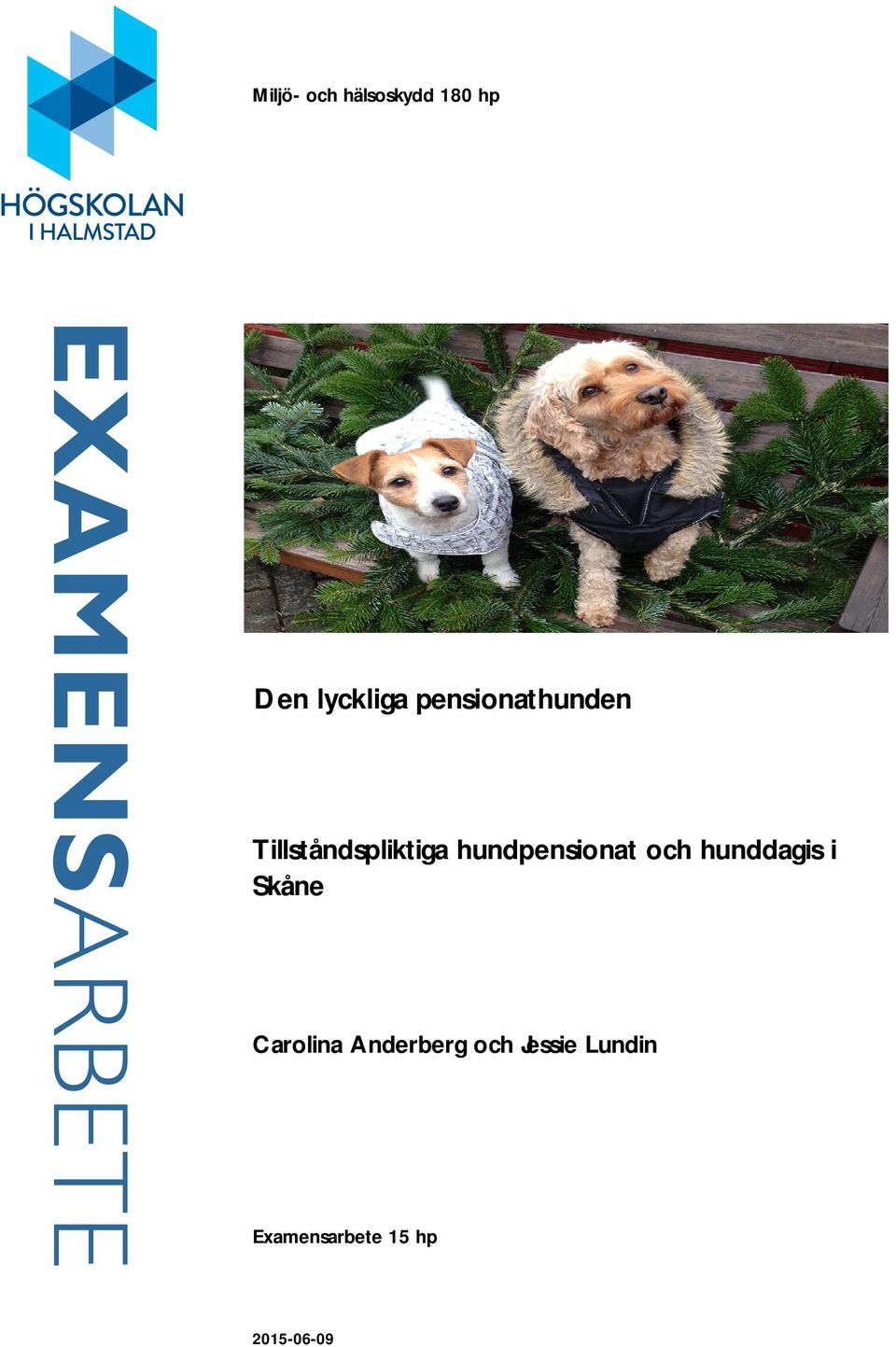 hundpensionat och hunddagis i Skåne Carolina