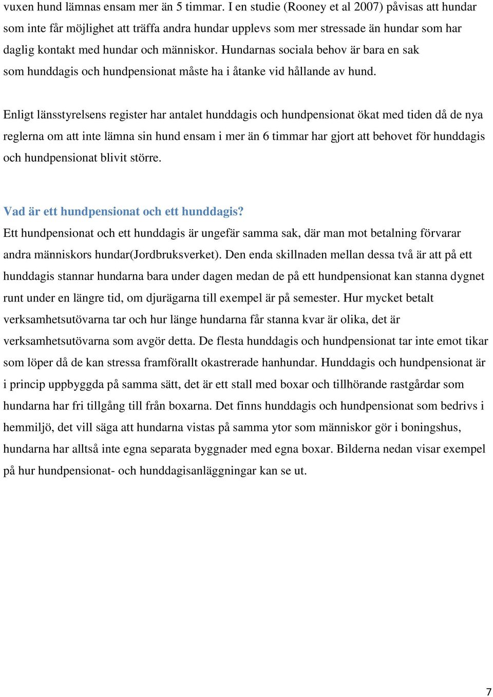 Hundarnas sociala behov är bara en sak som hunddagis och hundpensionat måste ha i åtanke vid hållande av hund.
