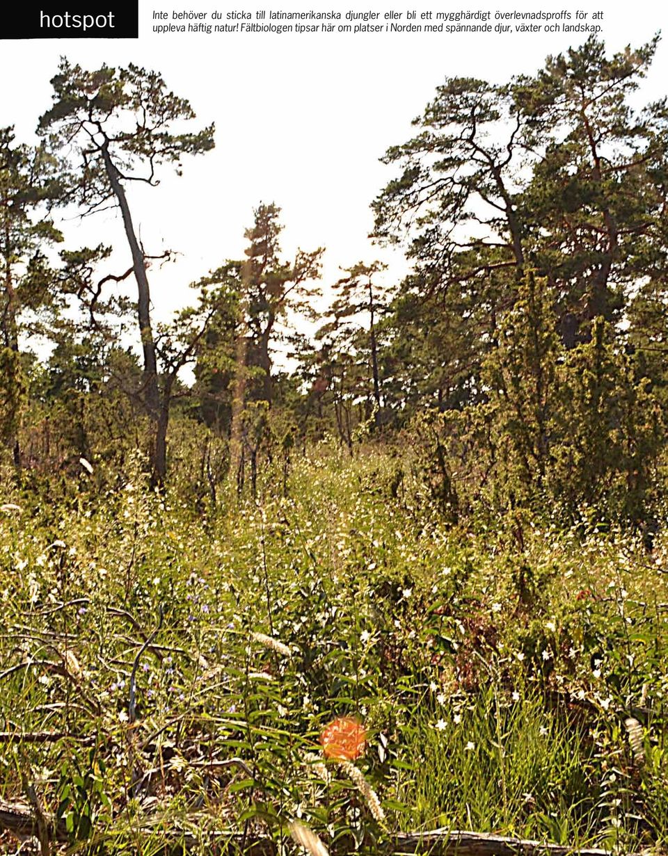 för att uppleva häftig natur!