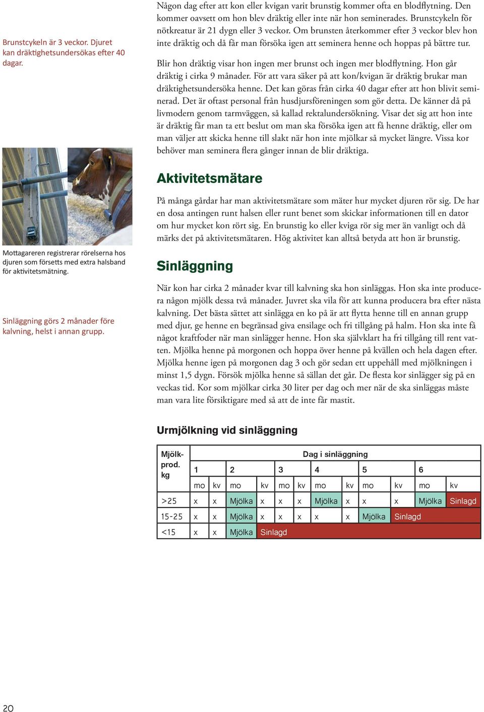 Om brunsten återkommer efter 3 veckor blev hon inte dräktig och då får man försöka igen att seminera henne och hoppas på bättre tur.