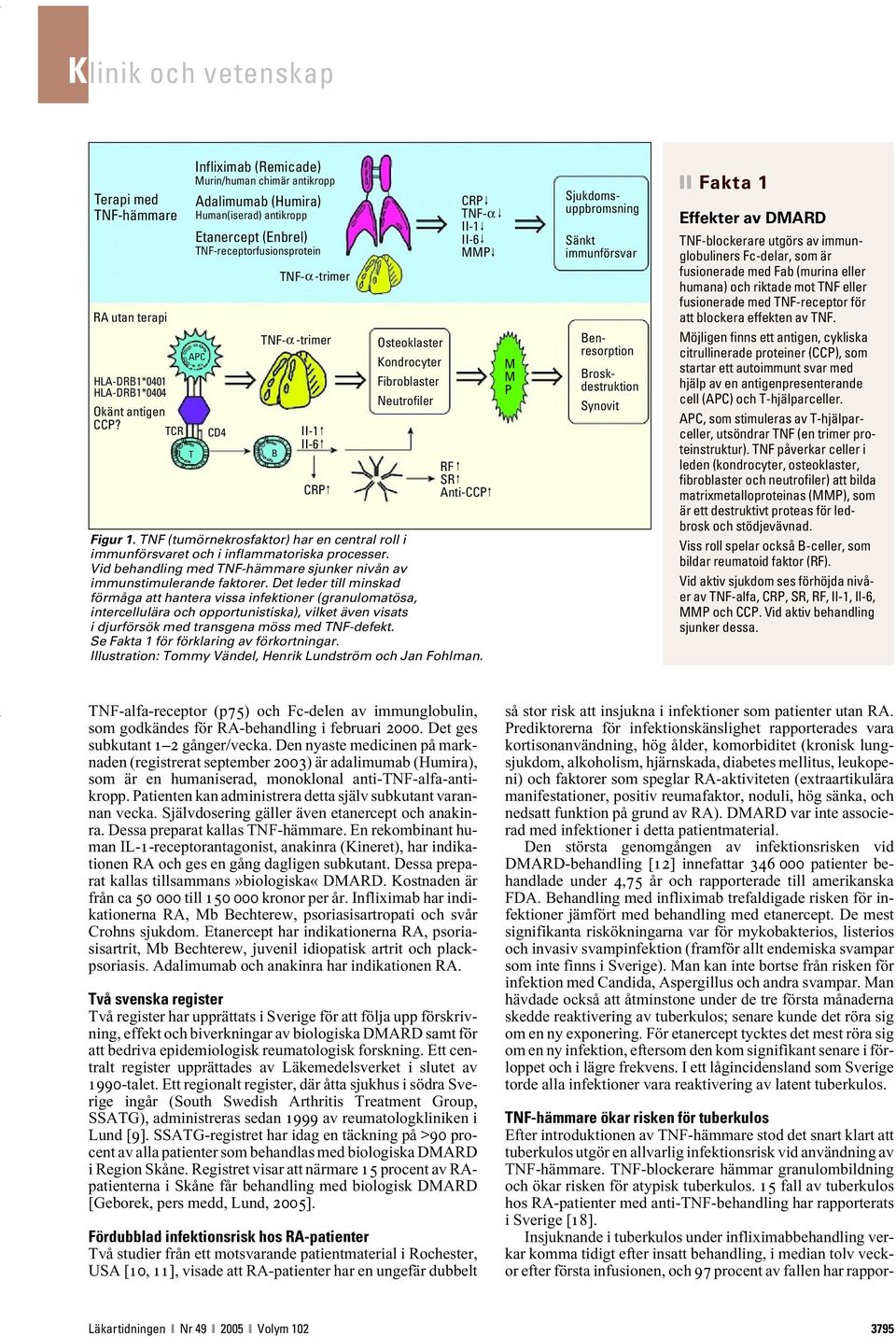 Osteoklaster Kondrocyter Fibroblaster Neutrofiler RF SR Anti-CCP Figur 1. TNF (tumörnekrosfaktor) har en central roll i immunförsvaret och i inflammatoriska processer.