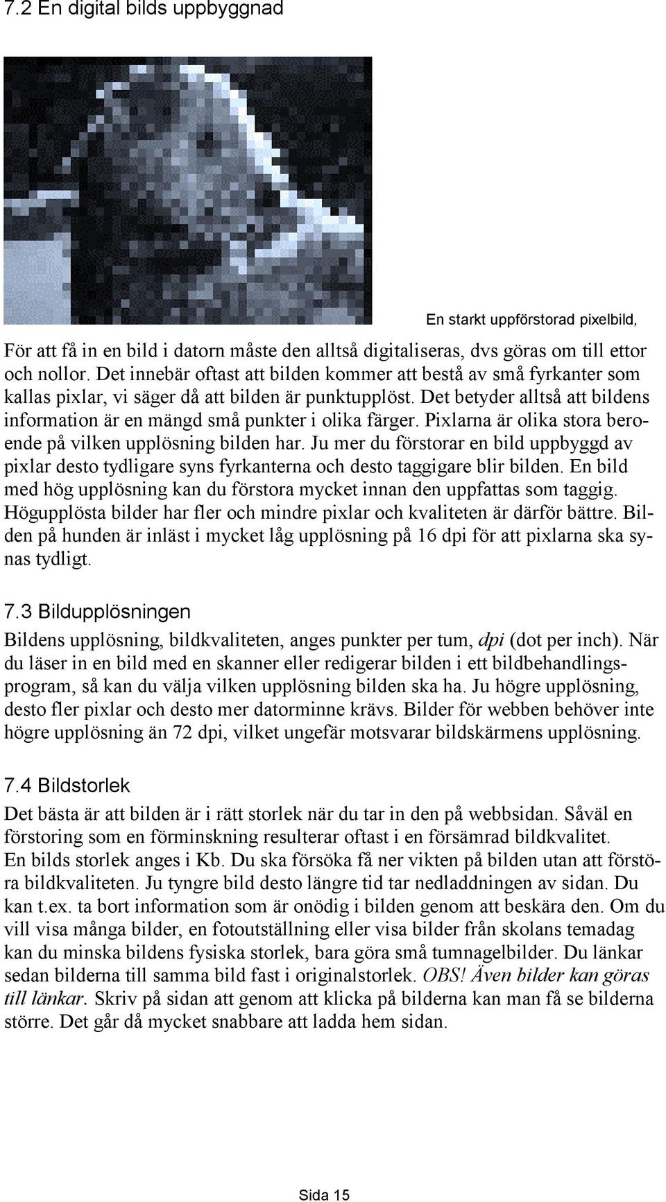 Det betyder alltså att bildens information är en mängd små punkter i olika färger. Pixlarna är olika stora beroende på vilken upplösning bilden har.