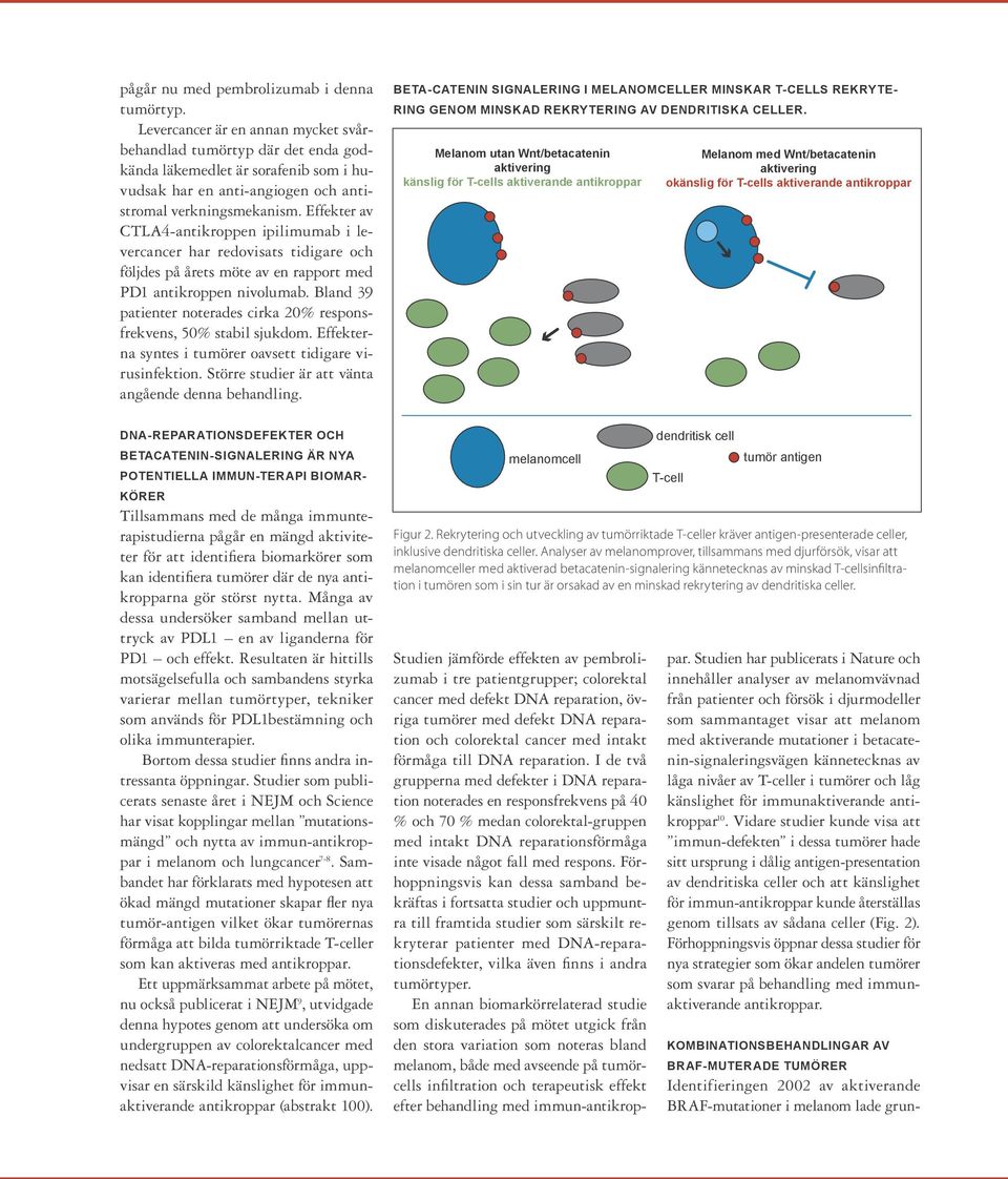 Effekter av CTLA4-antikroppen ipilimumab i levercancer har redovisats tidigare och följdes på årets möte av en rapport med PD1 antikroppen nivolumab.