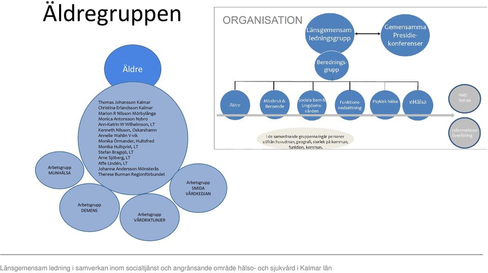 Stefan Bragsjö, LT Arne Sjöberg, LT Affe Lindén, LT Johanna Andersson Mönsterås Therese Burman Regionförbundet Arbetsgrupp SMIDA VÅRDKEDJAN