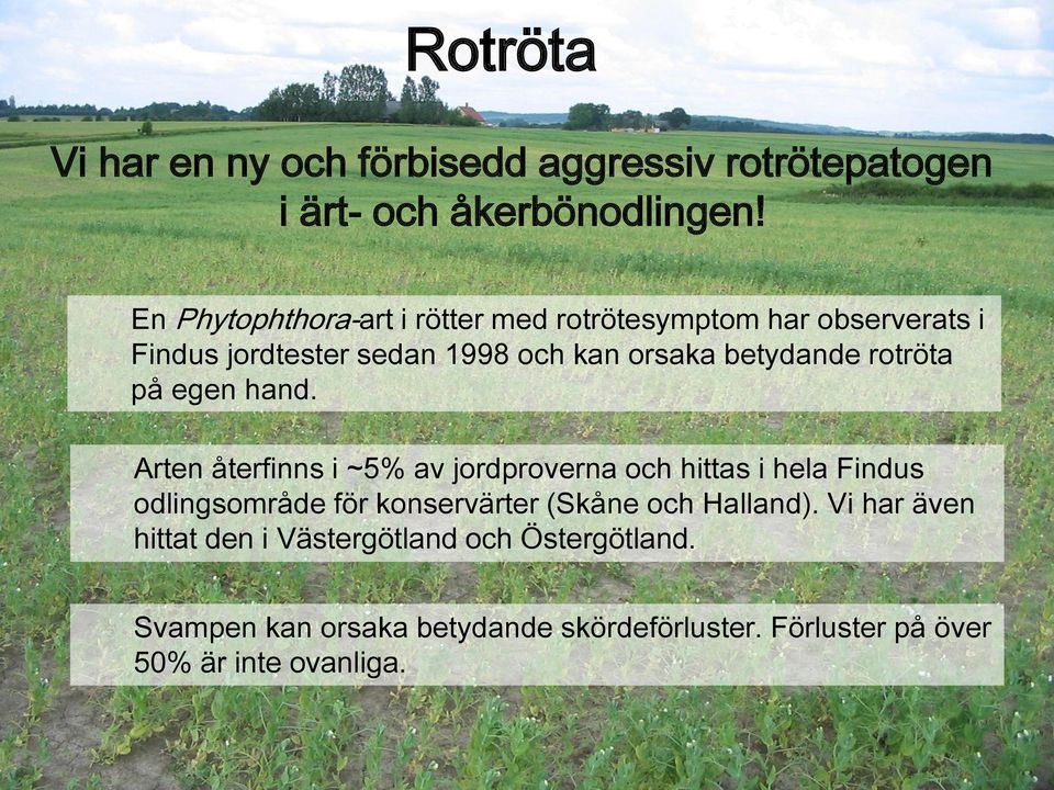 rotröta på egen hand.