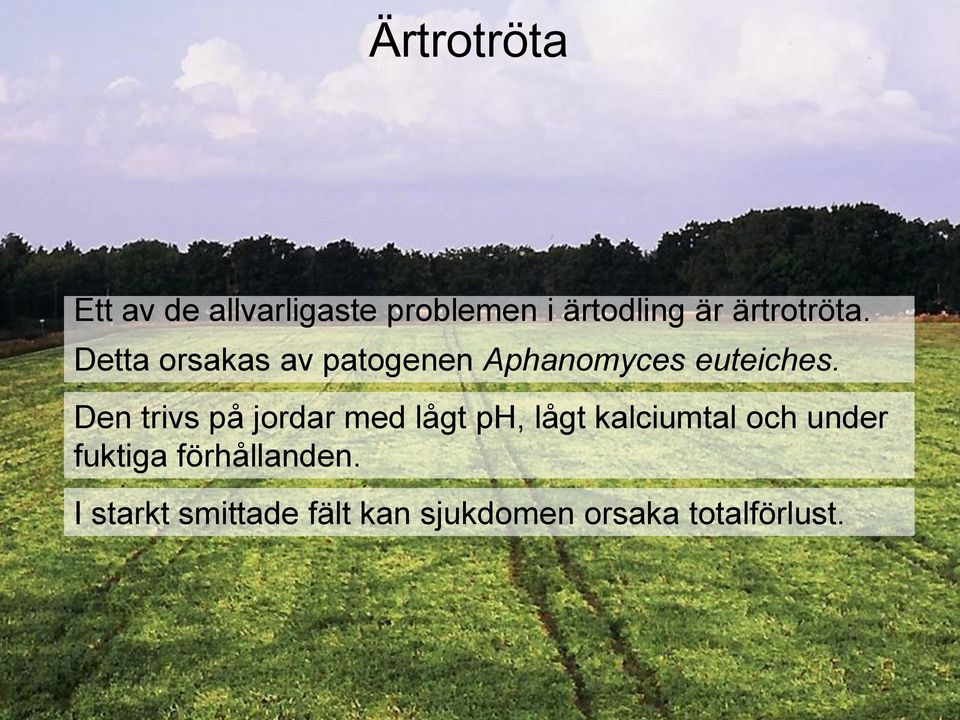 Den trivs på jordar med lågt ph, lågt kalciumtal och under