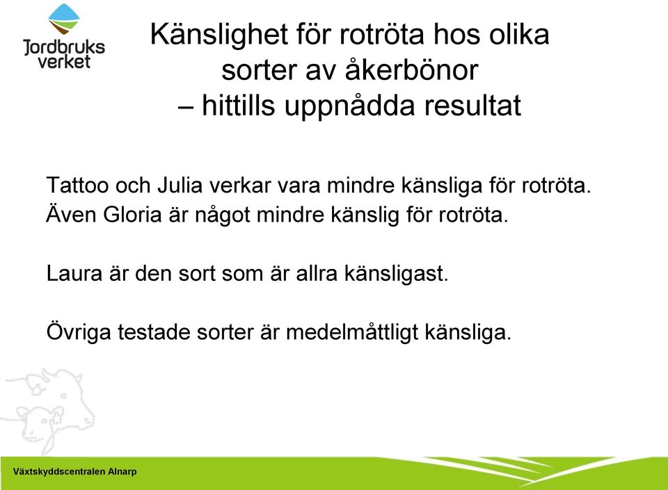 rotröta. Även Gloria är något mindre känslig för rotröta.