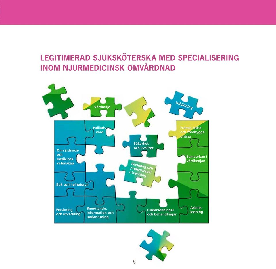 medicinsk vetenskap Säkerhet och kvalitet Personlig och professionell utveckling Samverkan i vårdkedjan Etik och