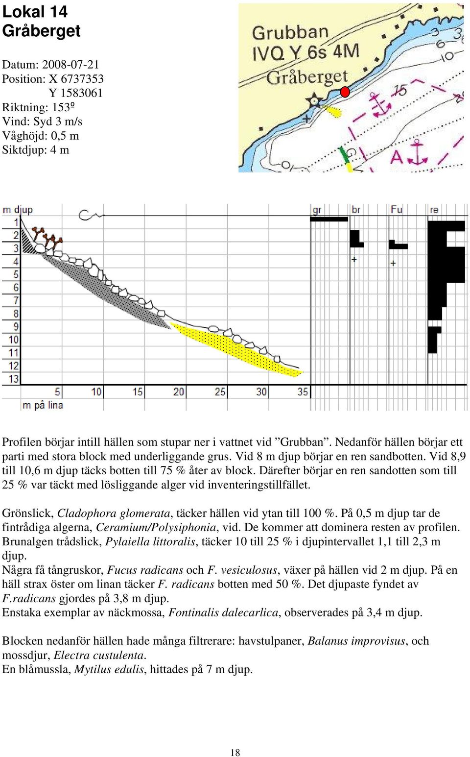 Därefter börjar en ren sandotten som till 25 % var täckt med lösliggande alger vid inventeringstillfället. Grönslick, Cladophora glomerata, täcker hällen vid ytan till 100 %.