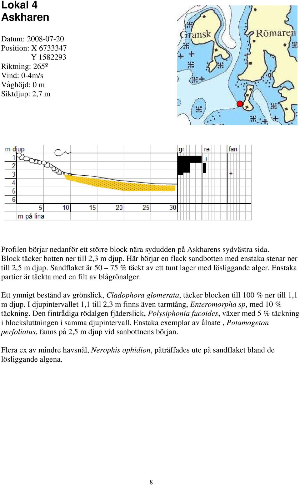 Enstaka partier är täckta med en filt av blågrönalger. Ett ymnigt bestånd av grönslick, Cladophora glomerata, täcker blocken till 100 % ner till 1,1 m djup.