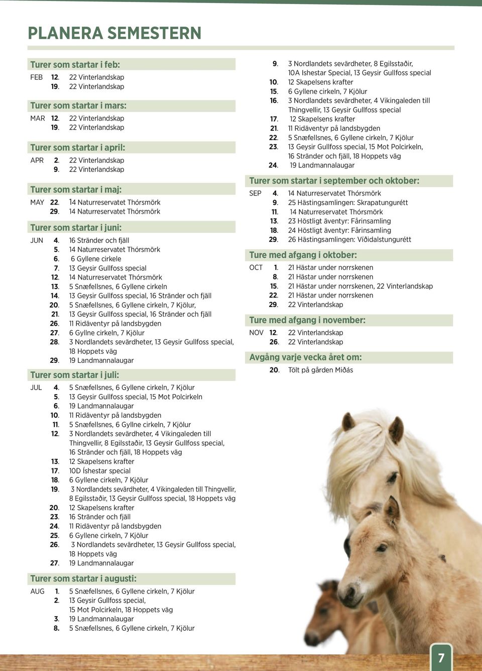 14 Naturreservatet Thórsmörk 6. 6 Gyllene cirkele 7. 13 Geysir Gullfoss special 12. 14 Naturreservatet Thórsmörk 13. 5 Snæfellsnes, 6 Gyllene cirkeln 14.