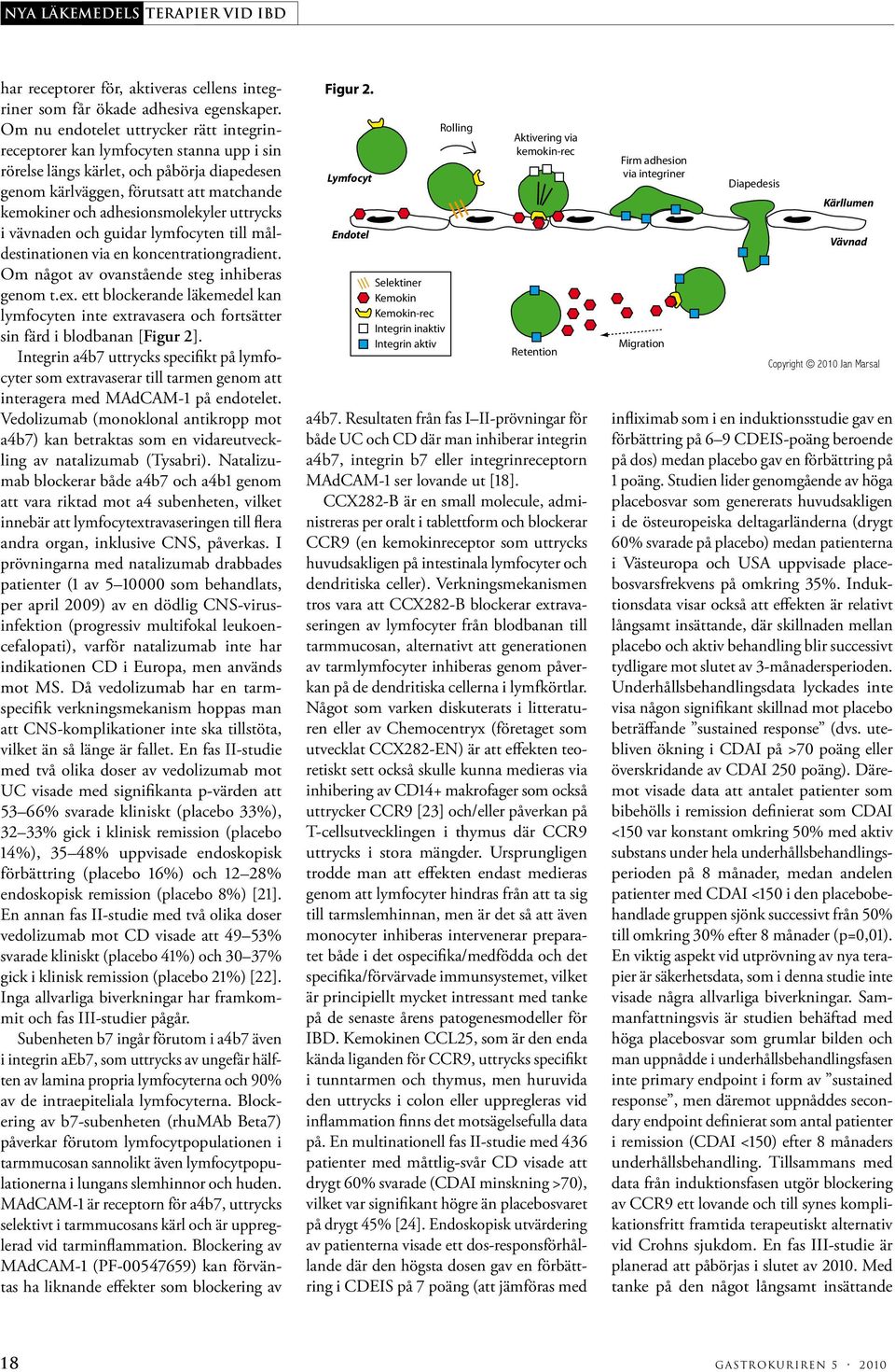 adhesionsmolekyler uttrycks i vävnaden och guidar lymfocyten till måldestinationen via en koncentrationgradient. Om något av ovanstående steg inhiberas genom t.ex.
