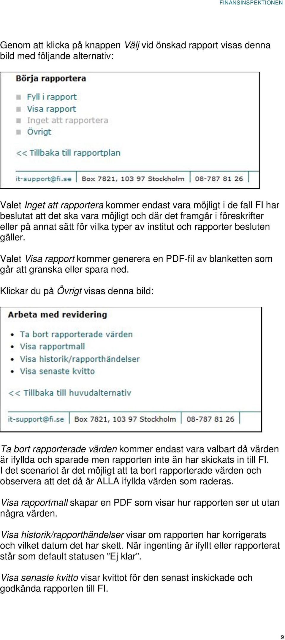 Valet Visa rapport kommer generera en PDF-fil av blanketten som går att granska eller spara ned.