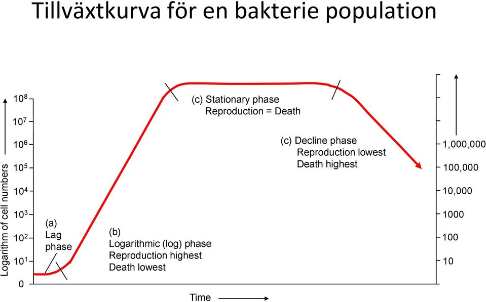 lowest Death highest 1,000,000 100,000 10 4 10,000 10 3 10 2 10 1 (a) Lag phase