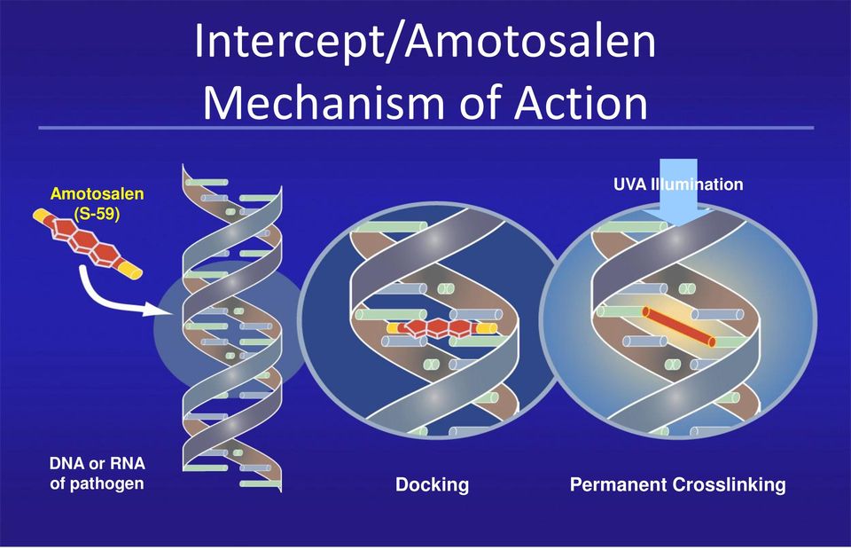 Illumination DNA or RNA of