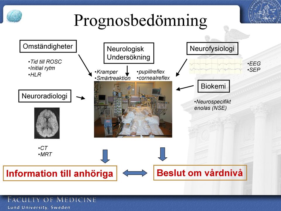 SEP pupillreflex cornealreflex Biokemi Neuroradiologi