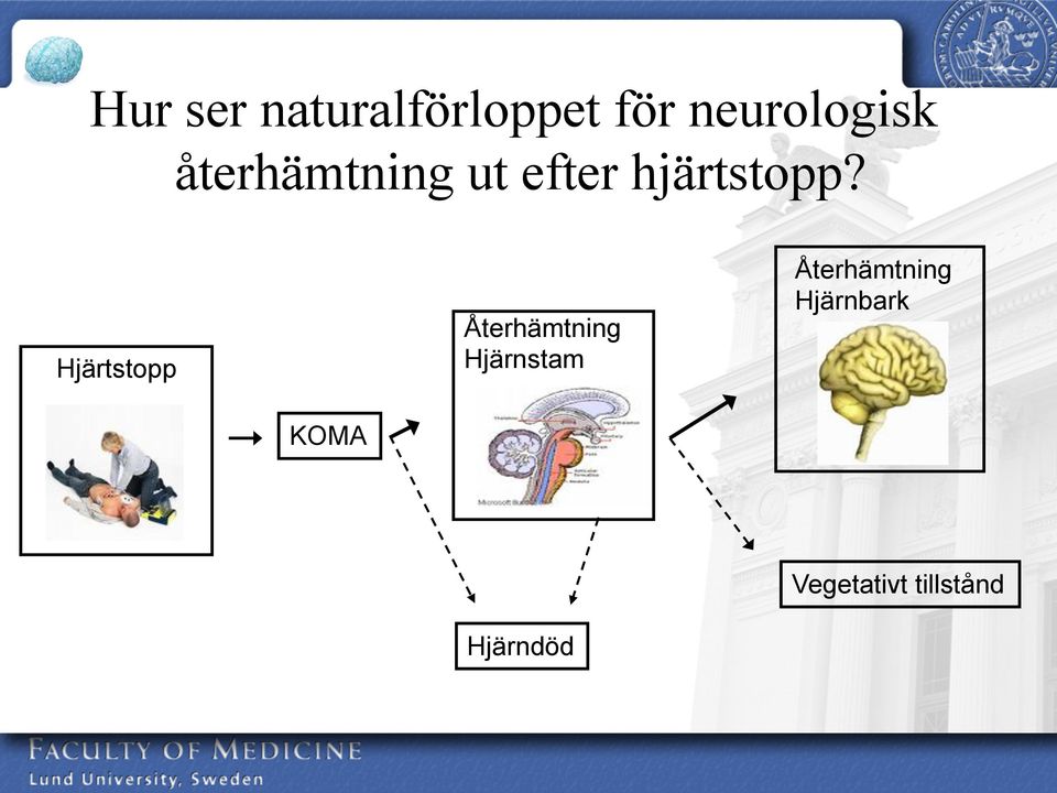 Hjärtstopp Återhämtning Hjärnstam