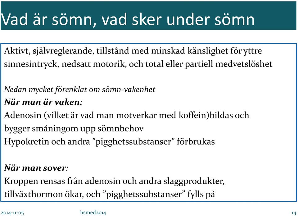 man motverkar med koffein)bildas och bygger småningom upp sömnbehov Hypokretin och andra pigghetssubstanser förbrukas När man