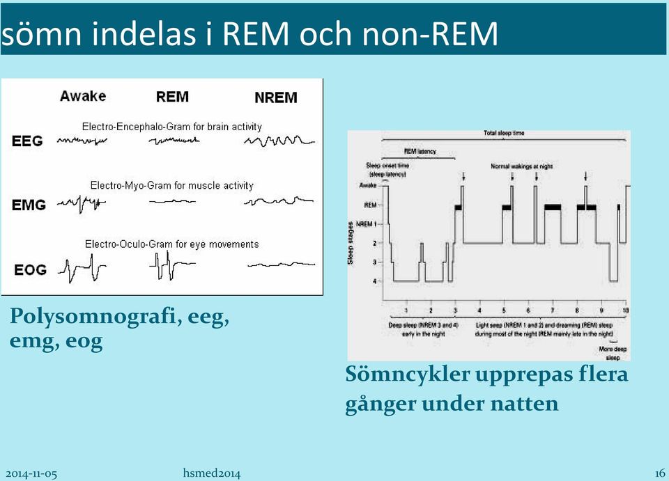 Sömncykler upprepas flera gånger