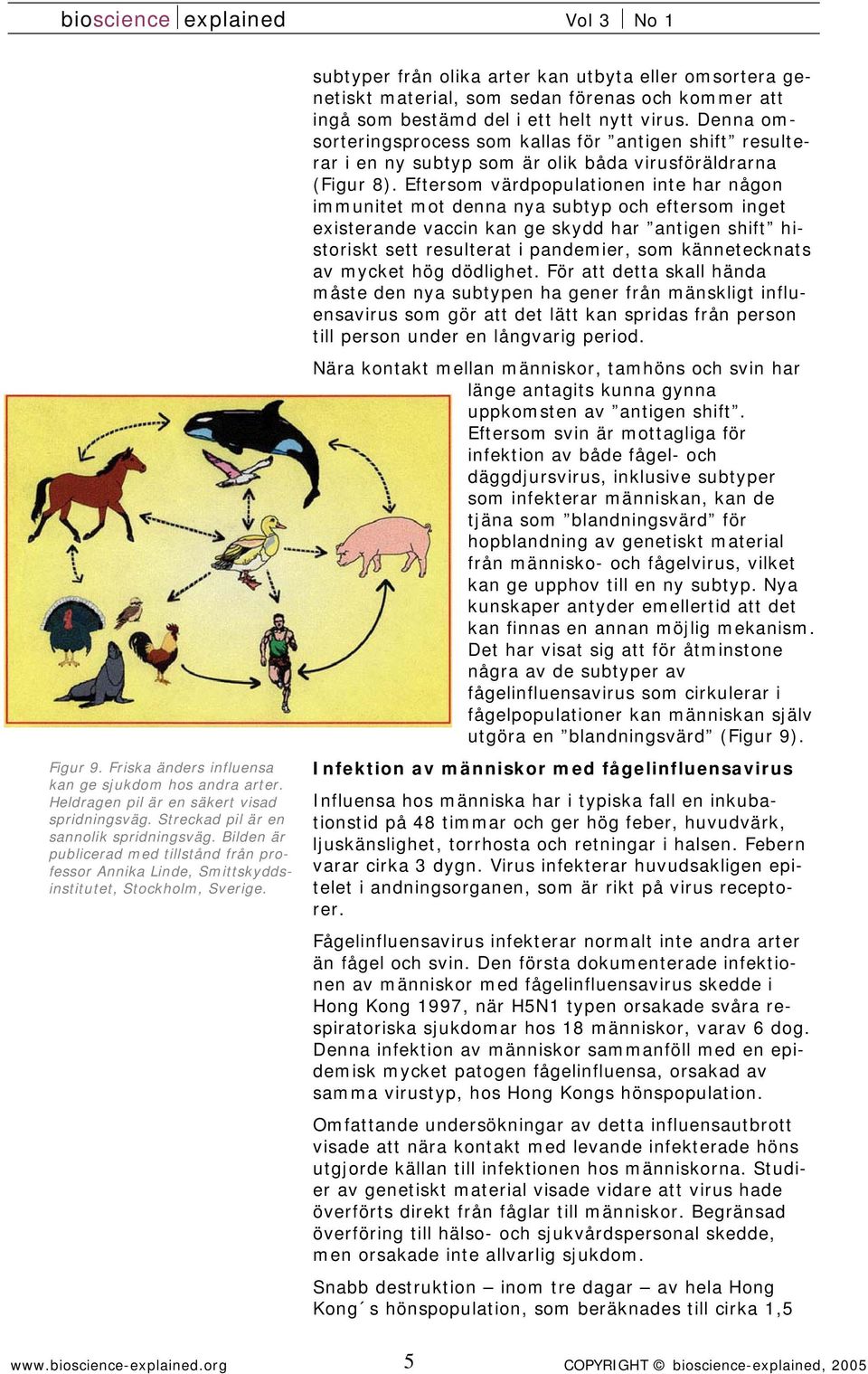 subtyper från olika arter kan utbyta eller omsortera genetiskt material, som sedan förenas och kommer att ingå som bestämd del i ett helt nytt virus.