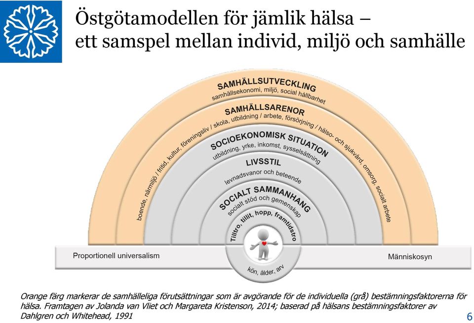 individuella (grå) bestämningsfaktorerna för hälsa.