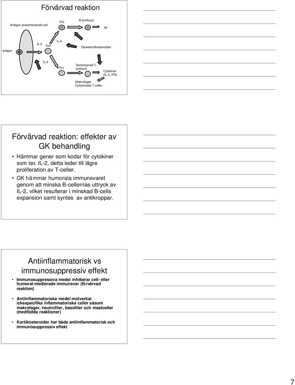 GK hämmar humorala immunsvaret genom att minska B-cellernas uttryck av IL-2, vilket resulterar i minskad B-cells expansion samt syntes av antikroppar.