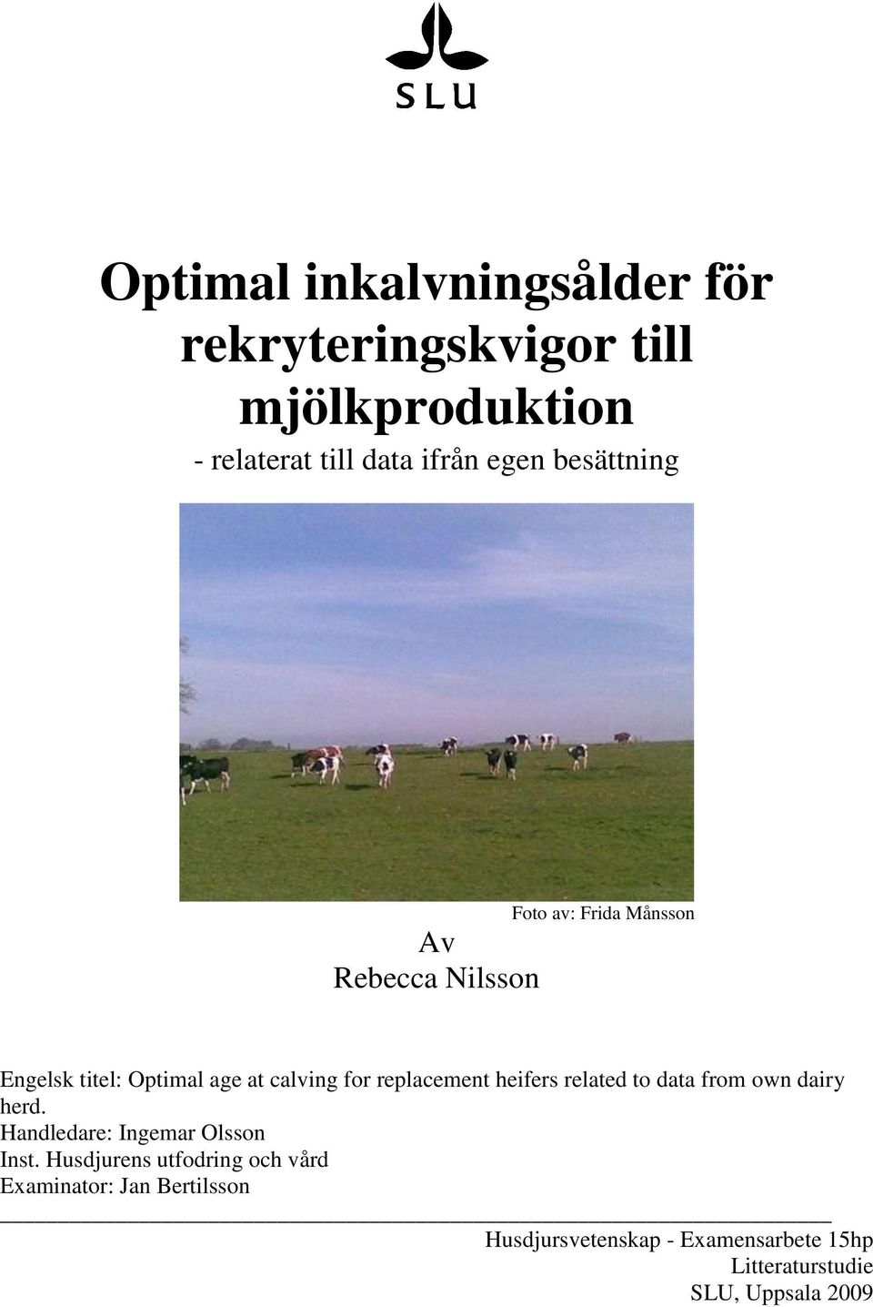 replacement heifers related to data from own dairy herd. Handledare: Ingemar Olsson Inst.