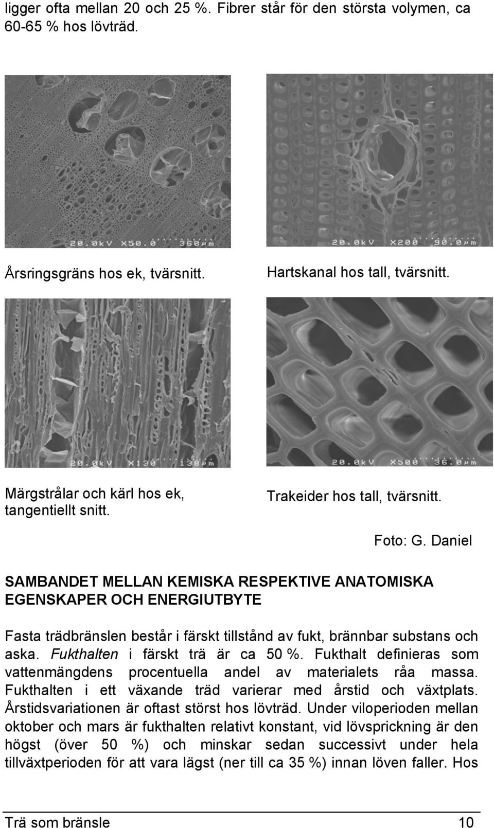 Daniel SAMBANDET MELLAN KEMISKA RESPEKTIVE ANATOMISKA EGENSKAPER OCH ENERGIUTBYTE Fasta trädbränslen består i färskt tillstånd av fukt, brännbar substans och aska. Fukthalten i färskt trä är ca 50 %.