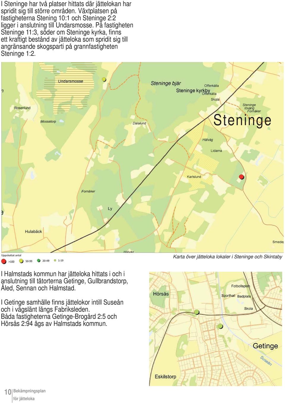 På fastigheten Steninge 11:3, söder om Steninge kyrka, fi nns ett kraftigt bestånd av jätteloka som spridit sig till angränsande skogsparti på grannfastigheten Steninge 1:2.