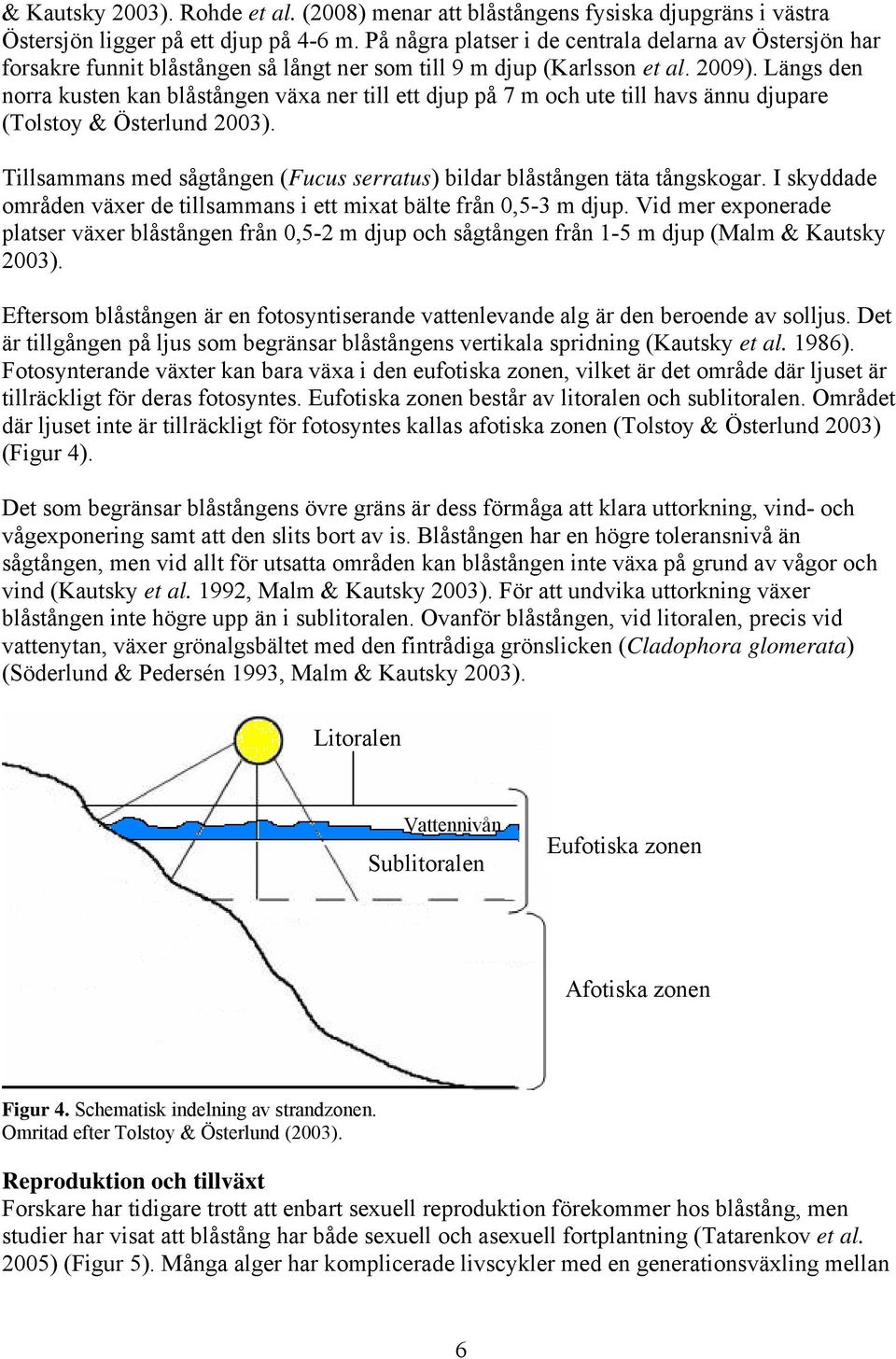 Längs den norra kusten kan blåstången växa ner till ett djup på 7 m och ute till havs ännu djupare (Tolstoy & Österlund 2003).