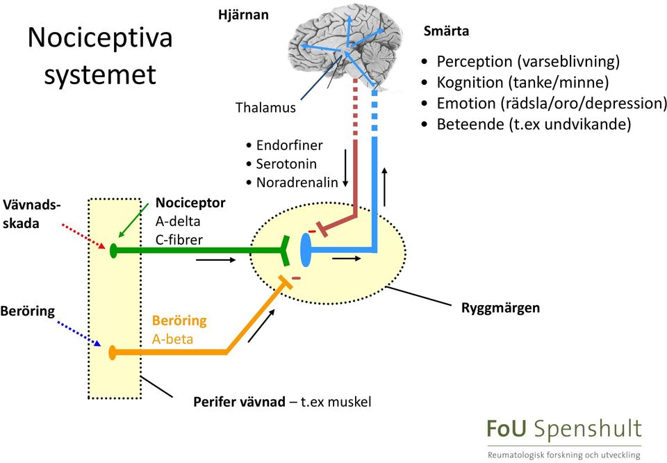 (varseblivning) Kognition (tanke/minne) Emotion (rädsla/oro/depression)