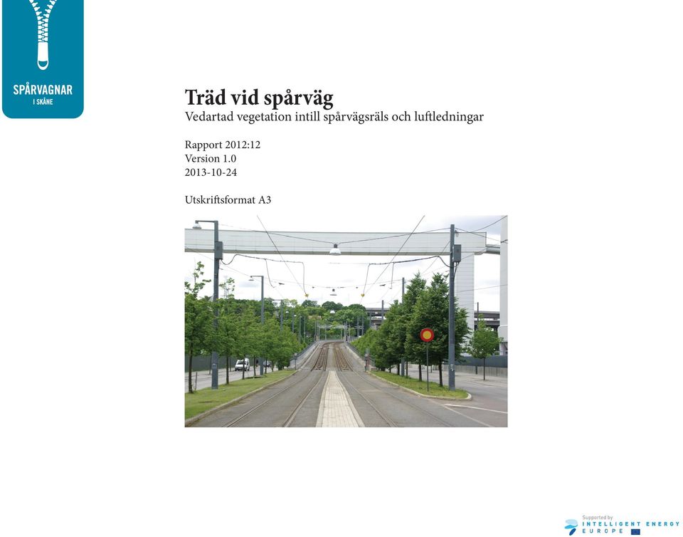 och luftledningar Rapport