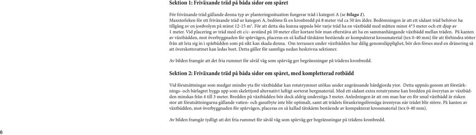 För att detta ska kunna uppnås bör varje träd ha en växtbädd med måtten minst 4*3 meter och ett djup av 1 meter.