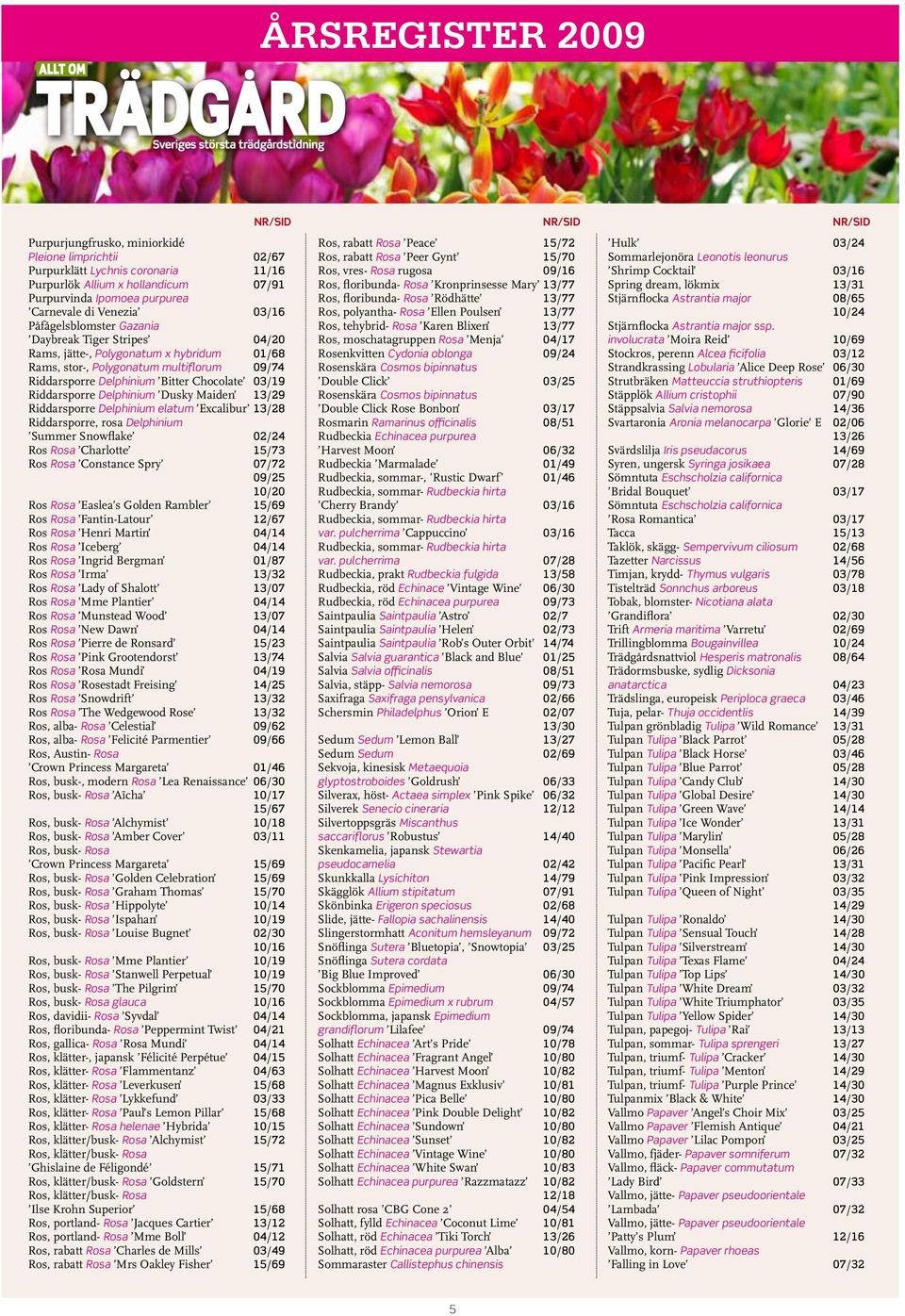 Delphinium Dusky Maiden 13/29 Riddarsporre Delphinium elatum Excalibur 13/28 Riddarsporre, rosa Delphinium Summer Snowflake 02/24 Ros Rosa Charlotte 15/73 Ros Rosa Constance Spry 07/72 09/25 10/20