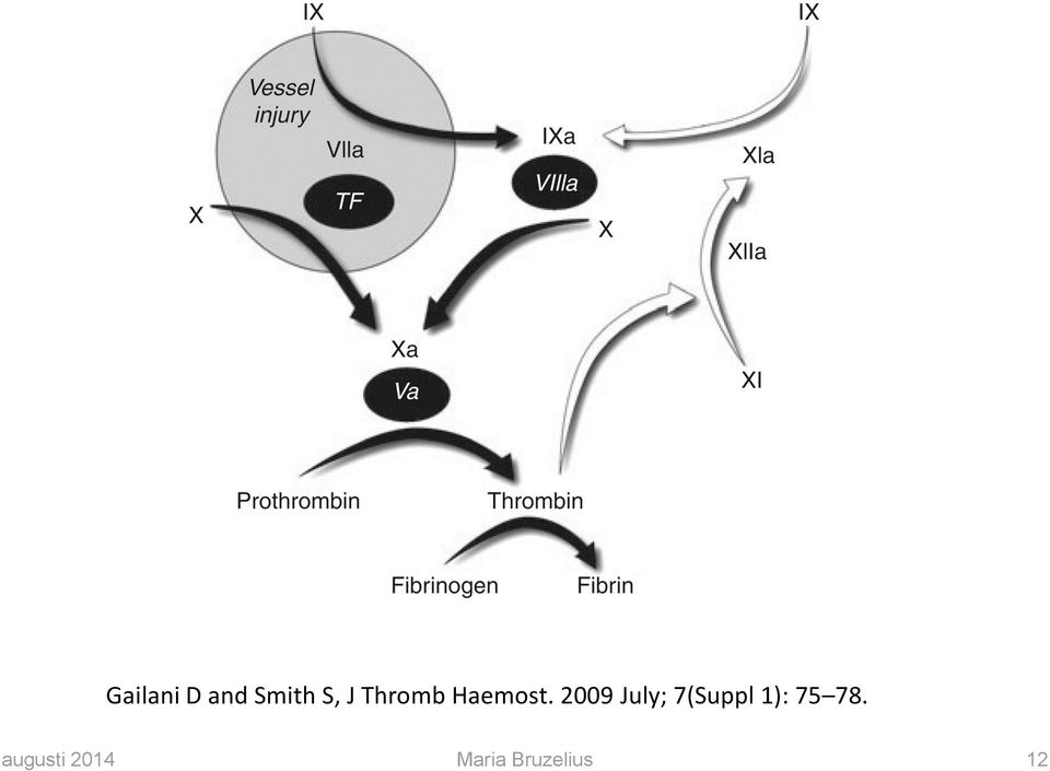 2009 July; 7(Suppl 1): 75