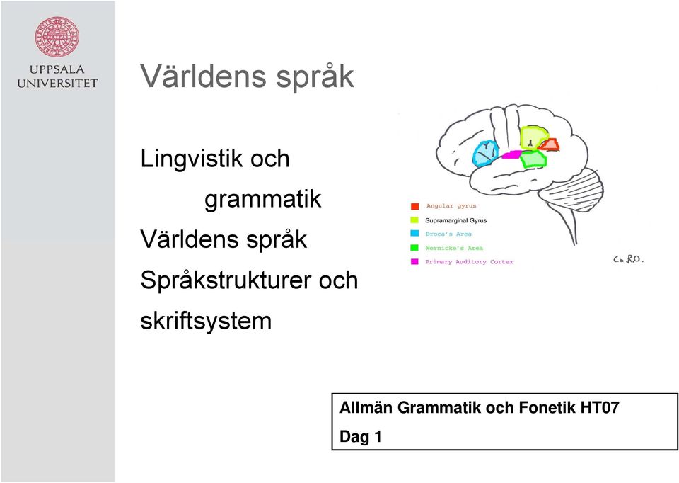 Språkstrukturer och