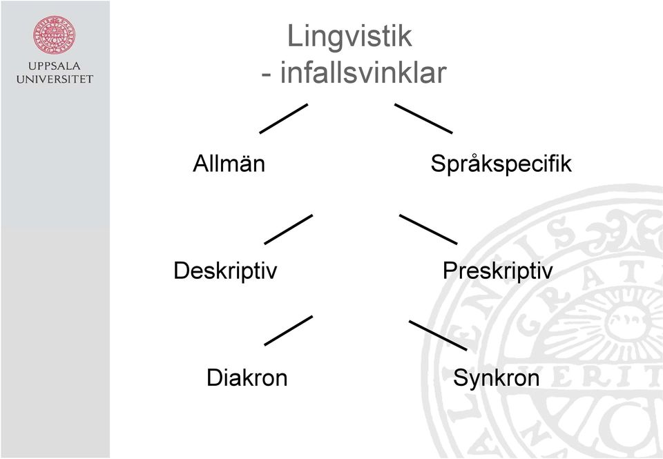 Språkspecifik