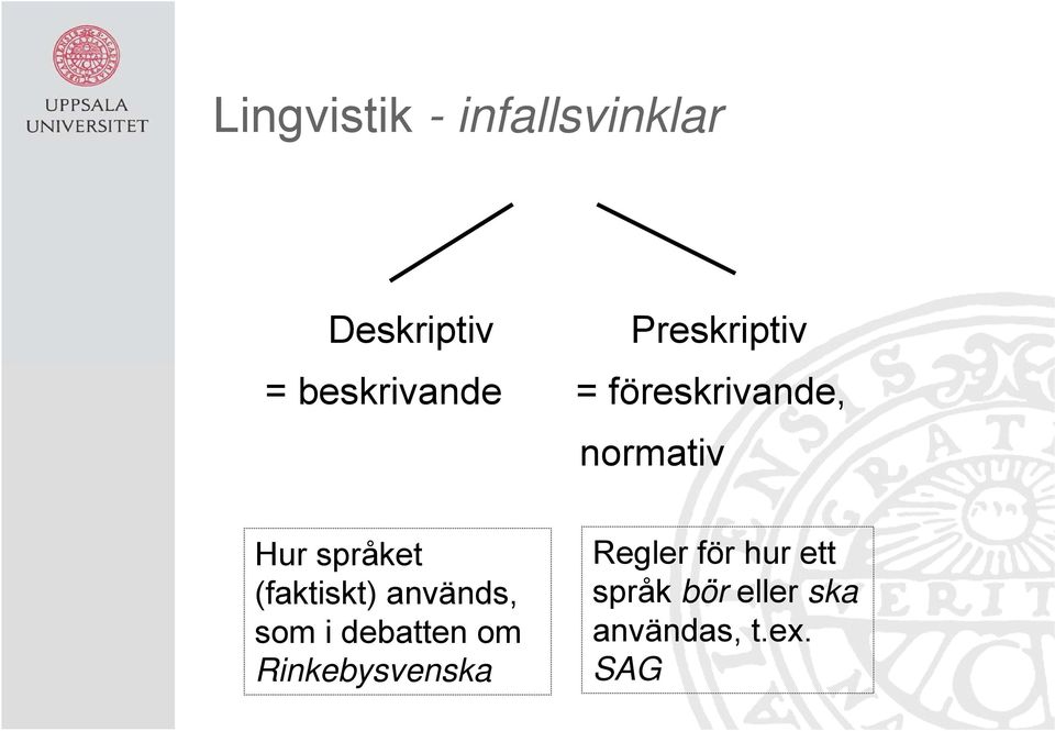 (faktiskt) används, som i debatten om Rinkebysvenska