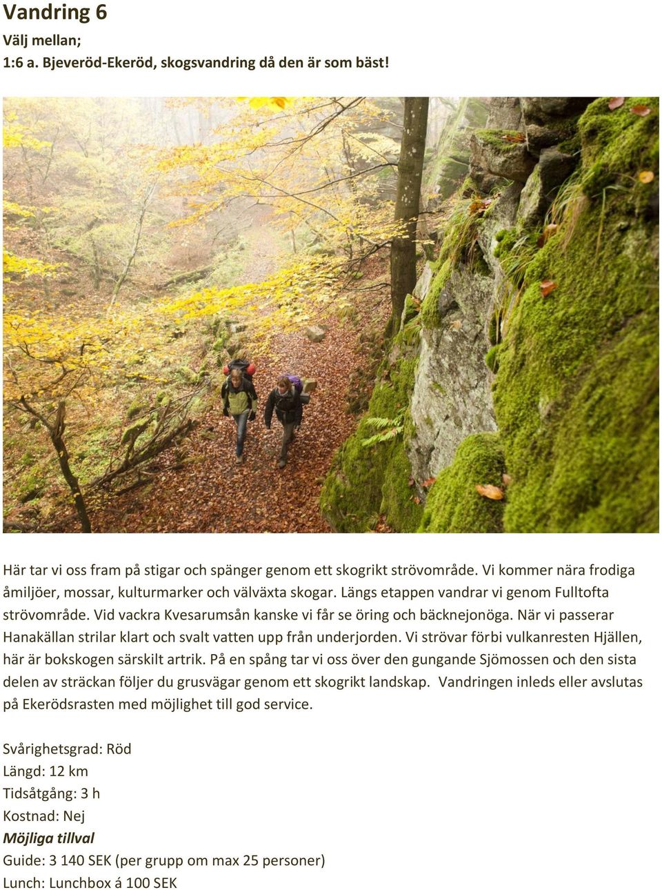 När vi passerar Hanakällan strilar klart och svalt vatten upp från underjorden. Vi strövar förbi vulkanresten Hjällen, här är bokskogen särskilt artrik.